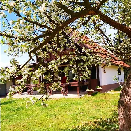 Vikendica Odmor Za Dusu Tatil Evi *